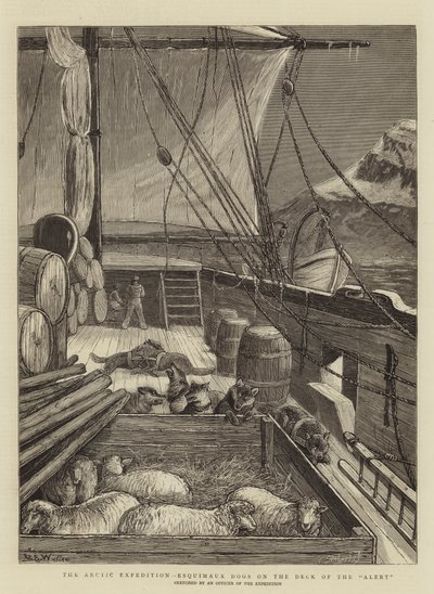 Den arktiske ekspedition, Esquimaux Dogs on the Deck of the Alert af Samuel Edmund Waller